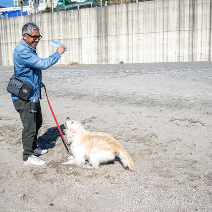 吉田佳央が撮影した「DOG SHOOTING」の写真