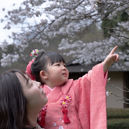 ミヤタカズコが撮影した「:albumName」の写真