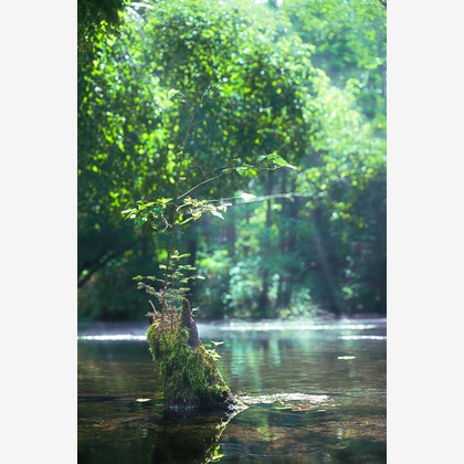 高木勇斗が撮影したその他の写真