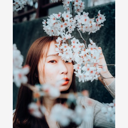 広井孝則が撮影した「:albumName」の写真