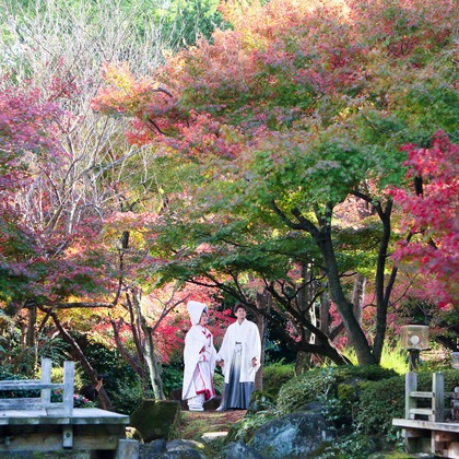 KIKIウェディングが撮影したウェディングや家族、ビジネスの写真