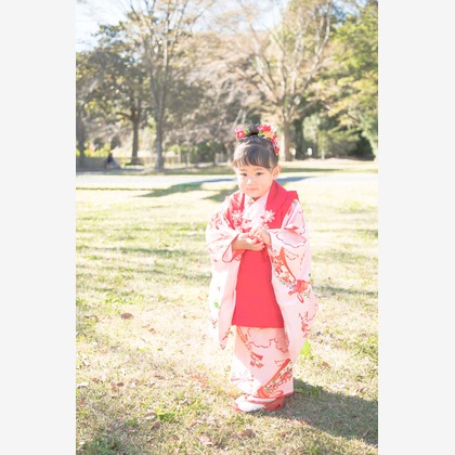 ゆのみふぉとが撮影した「:albumName」の写真