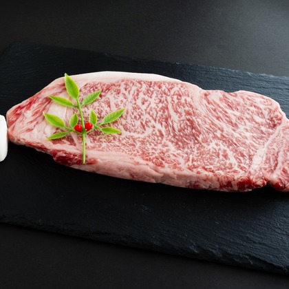 渡辺写真事務所が撮影した「:albumName」の写真