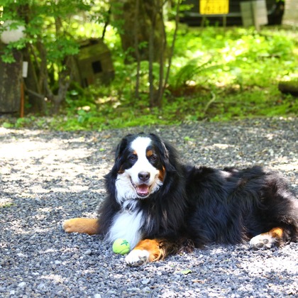 TSD officeが撮影した「:albumName」の写真