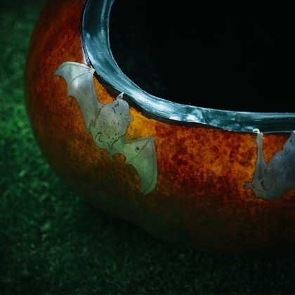 kiharu&photoが撮影した「:albumName」の写真