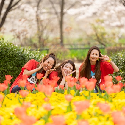 Lightgraphyが撮影した「:albumName」の写真