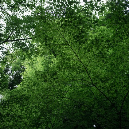 Photo of The Day of Wedding taken by yuri uemura