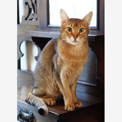 森安　照が撮影した「:albumName」の写真