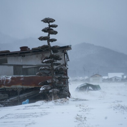 手塚隆弘が撮影したイベント/スナップ撮影の写真