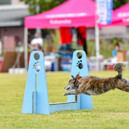 スタジオファンタスが撮影した「:albumName」の写真