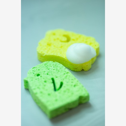 辻本俊輔が撮影した「:albumName」の写真