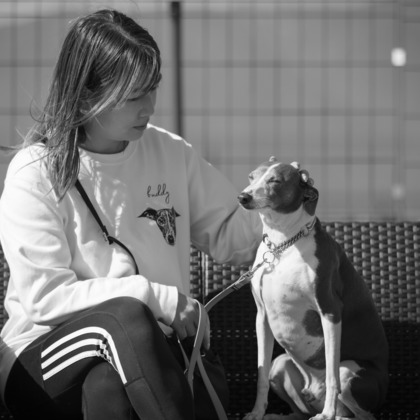 T.Matsumuraが撮影したイベント/スナップ撮影の写真