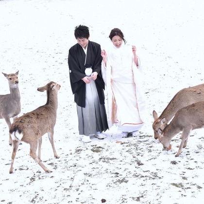 キキフォトワークスが撮影した「:albumName」の写真