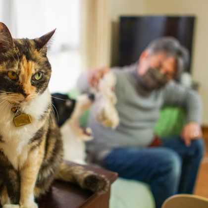 フォトグラフ山王が撮影した「:albumName」の写真