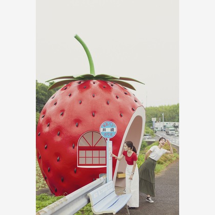 笠井鉄正写真事務所が撮影した「:albumName」の写真