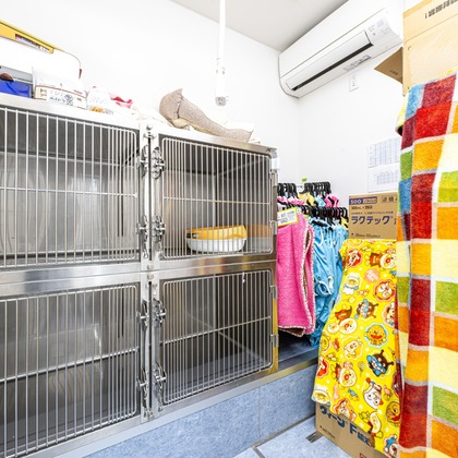 吉田佳央が撮影した「:albumName」の写真