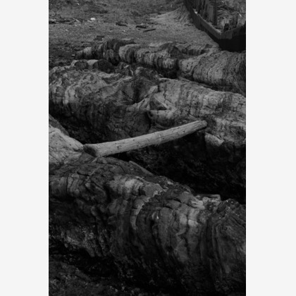 古口悠が撮影した「:albumName」の写真