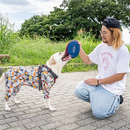 吉田佳央が撮影した「:albumName」の写真