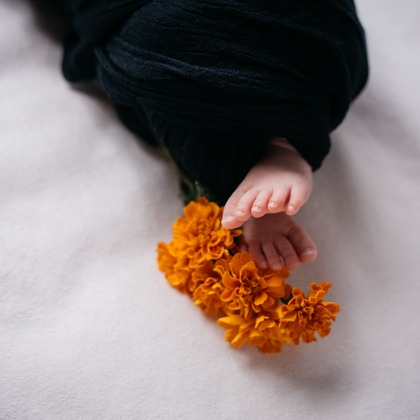 植村由理が出張撮影した多年生植物, 花粉, つま先などが写った「マリちゃん」の家族写真