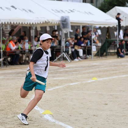 えむあんりみてっどが撮影した「:albumName」の写真