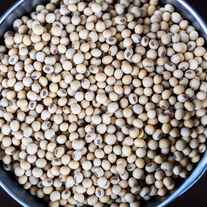 写真家 越智貴雄が撮影した「:albumName」の写真