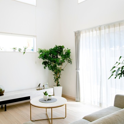 正太郎が撮影した「:albumName」の写真