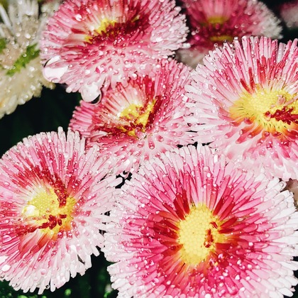 磯谷亮太が撮影したその他の写真