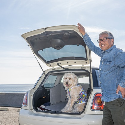 吉田佳央が撮影した「DOG SHOOTING」の写真