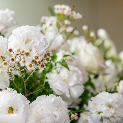 スタジオファンタスが撮影した「:albumName」の写真