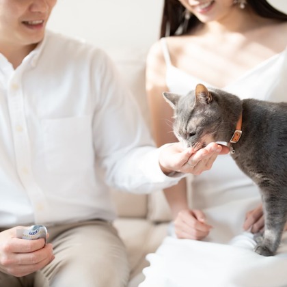 Engagement Photography/Location Photo Shoot/Studio Shoot/Wedding Day Photography/After-party Photo Shoot/Honeymoon Photo Shoot/Kimono Shoot Photos taken by VISTA Photography