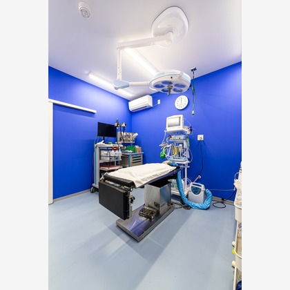 吉田佳央が撮影した「:albumName」の写真