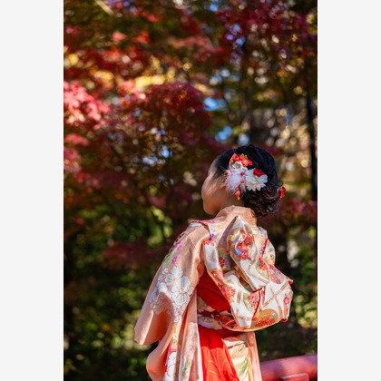 萩原　蔵志が撮影した「:albumName」の写真