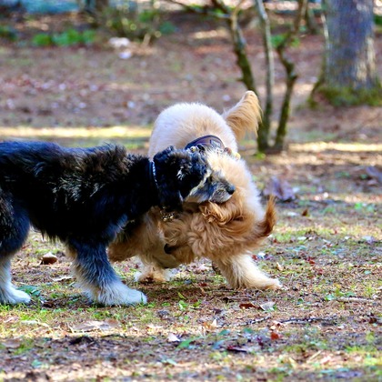 TSD officeが撮影した「:albumName」の写真