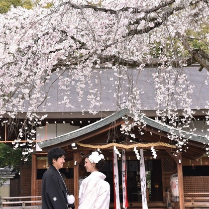 Photo of Pre weddingphotoshoot and wedding ceremony at shrine and Nara Park for foreigners. taken by Kiki photo works