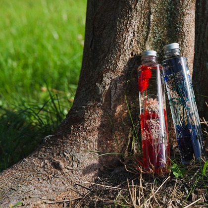 tkphotoが撮影した「:albumName」の写真