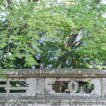 デグチマミが撮影した「:albumName」の写真