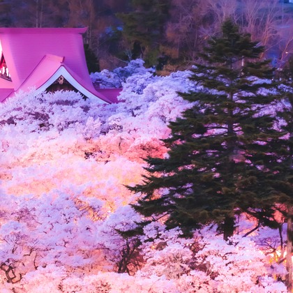 内藤駿介が撮影したその他/商品/物撮りの写真