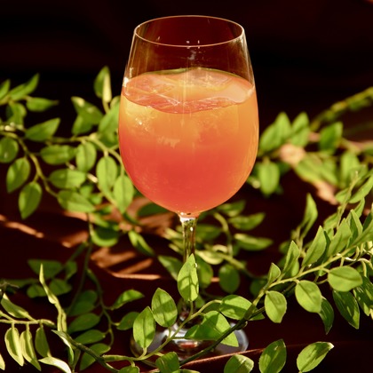 TSD officeが撮影した「:albumName」の写真