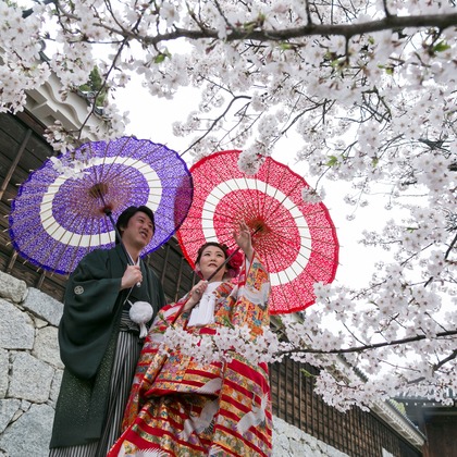 Photo of  taken by Re'creation