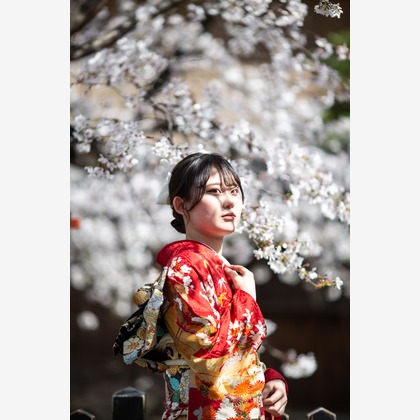 studio aluc ~スタジオ アルク~が撮影した「:albumName」の写真