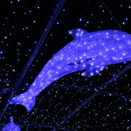 ＮＫ フォトエージェンシーが撮影したその他の写真