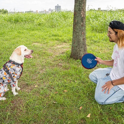 吉田佳央が撮影した「DOG SHOOTING」の写真