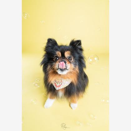 Ray Yamaguchiが撮影した「:albumName」の写真