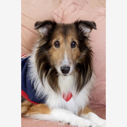 森安　照が撮影した「:albumName」の写真