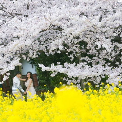 Photo of Pre-wedding photo session and Wedding photographs taken by Feel So High! Kenichi Morinaga photography