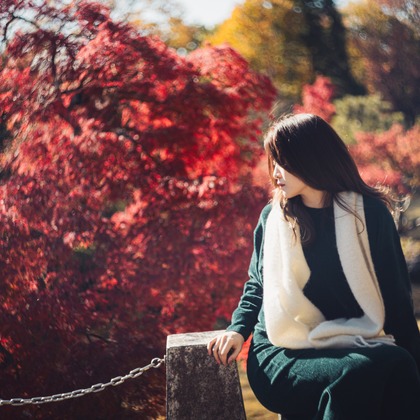 内藤駿介が撮影した「:albumName」の写真