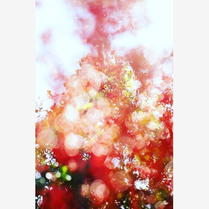 内山慎也が撮影した商品/物撮りの写真