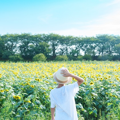 Tempstendreが撮影した「:albumName」の写真