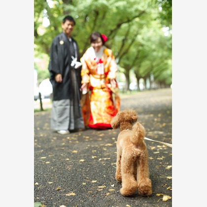 Wedding, Bridal Photos taken by ecoo