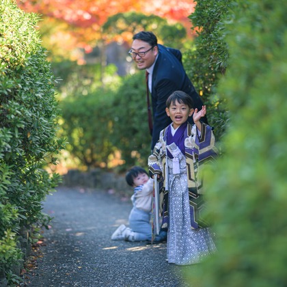 佐藤 葵が撮影した「:albumName」の写真